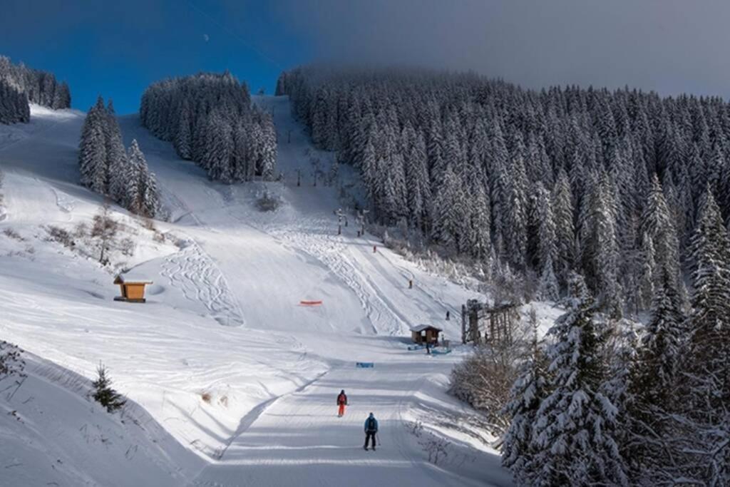 Le Relai S31 - Grand Et Lumineux Studio Avec Coin Montagne 4-6 Pers, Tout Equipe, Avec Wifi, A 30M Des Pistes Avec Un Grand Balcon, Draps Non Compris Saint-Jean-dʼAulps Eksteriør billede